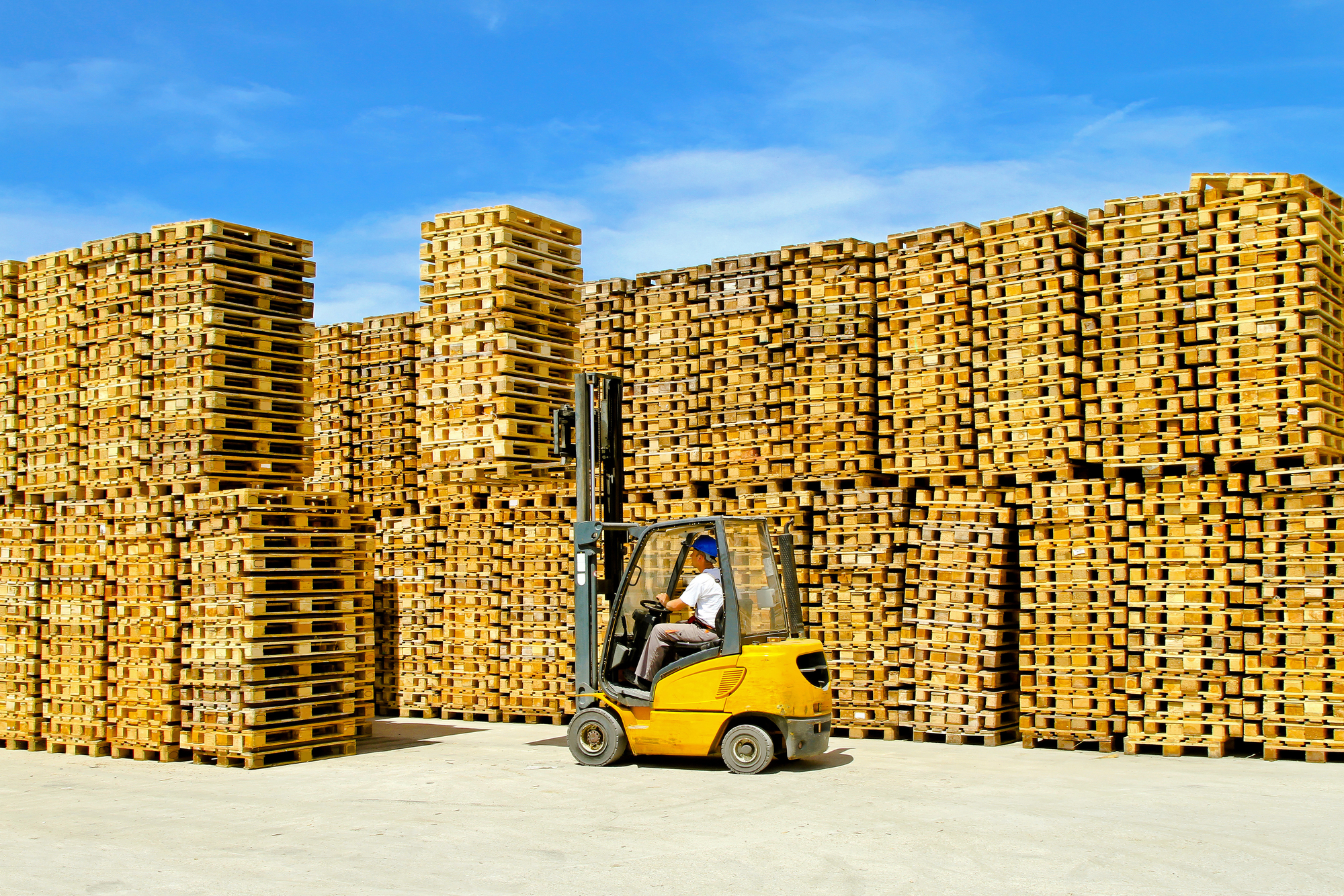 Pallets for Sale